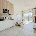 Shellter - Day Apartman Rogowo