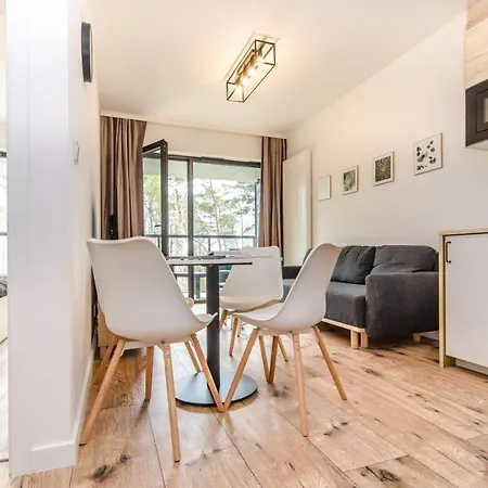 Shellter - Day ロゴボ