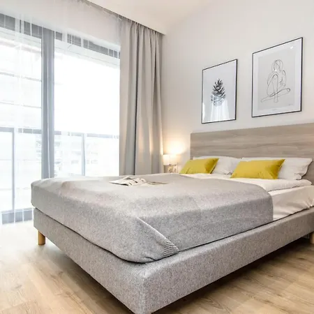 Shellter - Day ロゴボ