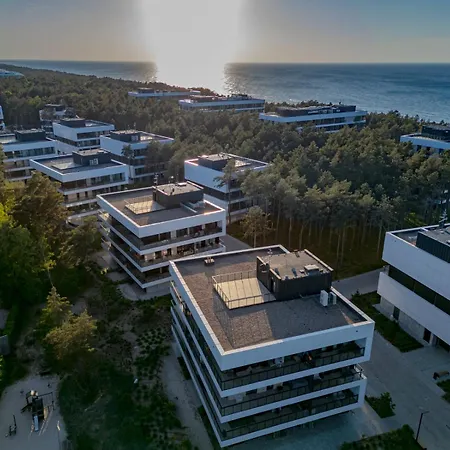 Shellter - Day ロゴボ