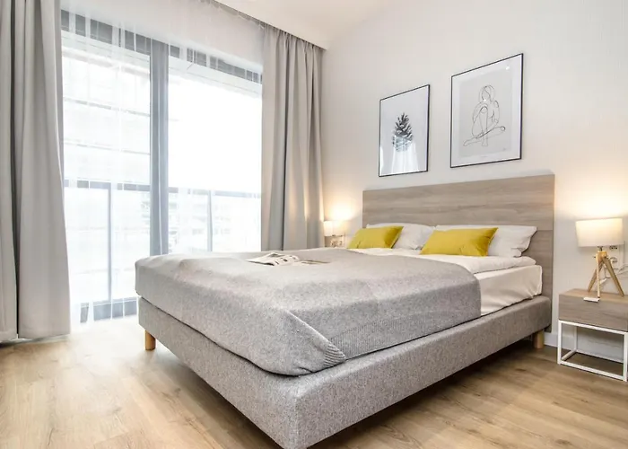 Shellter - Day Rogowo (Gryfice)